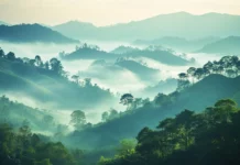 A peaceful landscape perfect for Beautiful scenic wallpaper for desktop, stretching into the misty horizon.