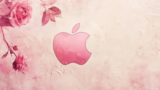 A pink Apple emblem centered on a faded rose background creating a romantic mood.