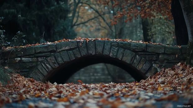 A pretty stone bridge covered in fallen leaves.