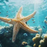 A starfish clinging to a coral reef, its spiny arms spread out as small fish swim around, with a peaceful underwater ambiance.