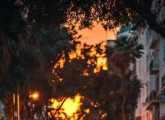 A vertical shot of Lamborghini resting under warm golden hour streetlight.