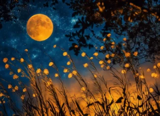 A vibrant recreation of Van Gogh Starry Night with enhanced swirling star formations and glowing moon, set against a vivid dark blue and yellow backdrop.