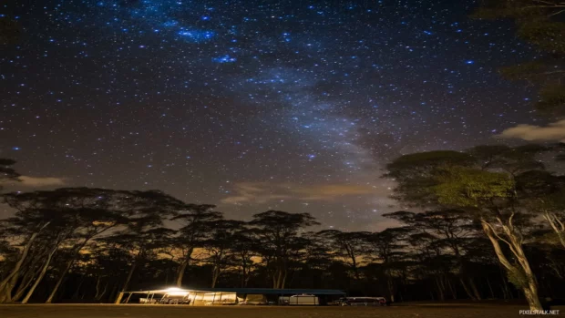 Above a quiet forest, an awe inspiring starry sky with bright constellations visible and soft clouds drifting by enhances the magical and dreamy quality of the night.