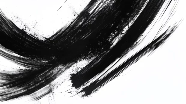 Abstract black brushstroke chaos.