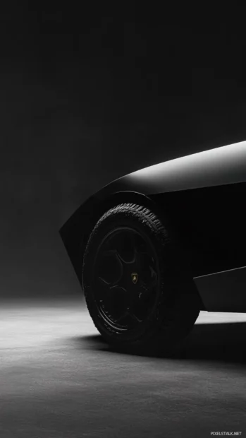 Abstract vertical composition showing half of black Lamborghini in studio.
