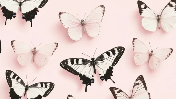 Aesthetic cute girly wallpaper filled with blush tones and butterflies.