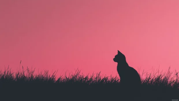 Aesthetic minimalist scene featuring Minimalist cat silhouette, ultra HD.