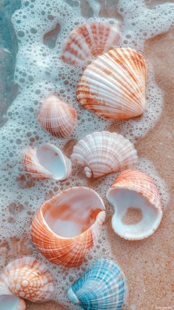 Aesthetic summer lock screen with delicate overlapping images of coastal landscapes and seashells.