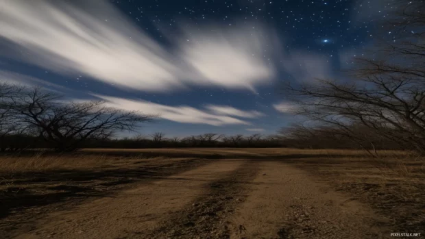 An awe inspiring starry sky over a quiet forest, with bright constellations visible and soft clouds drifting by, enhancing the magical and dreamy quality of the night.