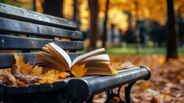 An open book resting on a park bench surrounded by autumn hues.