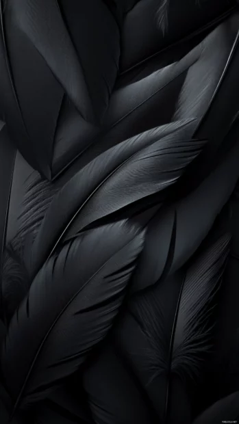 Artistic Black Lock screen Wallpapers featuring black feathers and soft shadows.