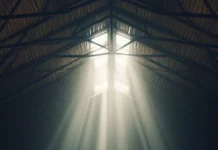 Basketball bouncing under spotlight on moody indoor court.