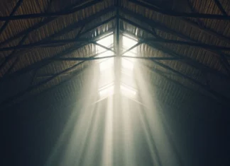 Basketball bouncing under spotlight on moody indoor court.