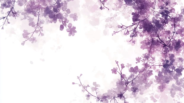 Beautiful sakura with subtle purple hues on a white background, purple blossom desktop wallpaper.
