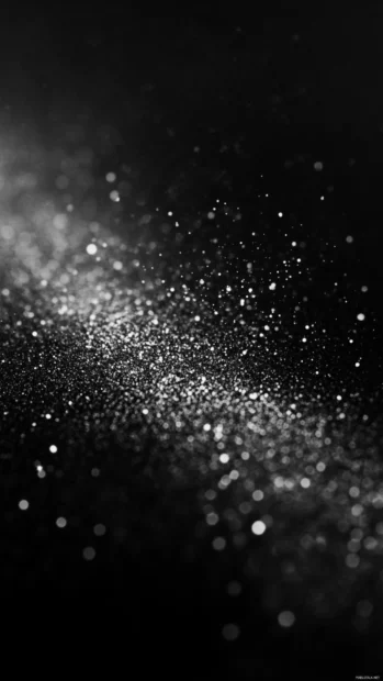Black background with delicate silver dust scattered softly.