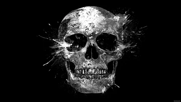Black skull, silver paint splashes, fragmented design, minimalist dark background.