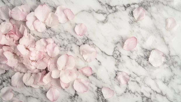Blush pink cherry blossom petals scattered across a marble surface.