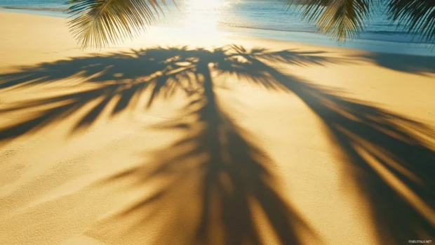 Breezy palm shadows dancing across sunlit sand.