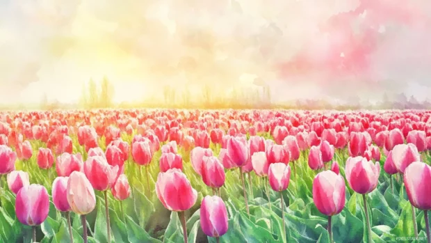 Bright tulip fields glowing in soft watercolor morning light.