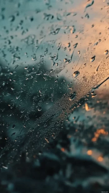 Calming Moving Wallpapers for Android showing raindrops sliding slowly down glass.