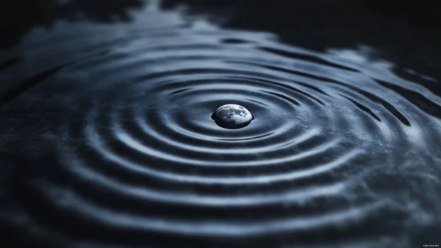 Calming moving wallpaper with gentle water ripples under a soft moonlight.