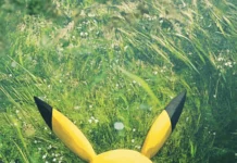 Centered perfectly, Pikachu faces front on a washed out green field.