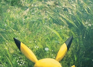 Centered perfectly, Pikachu faces front on a washed out green field.