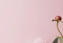 Chic perfume bottles and blush peonies in a stylish pink aesthetic wallpapers.