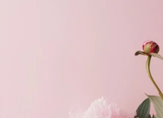Chic perfume bottles and blush peonies in a stylish pink aesthetic wallpapers.