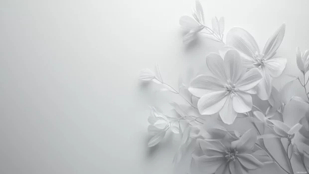 Clean white and gray PC Lock screen Wallpapers designed for clarity and calm, simple desktop lock screen backgrounds.