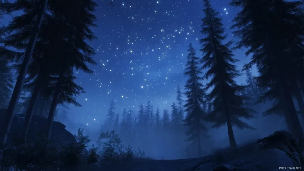 Cozy wilderness feel from a vivid starry night with sparkling stars scattered across the sky, framed by the silhouette of tall pine trees.