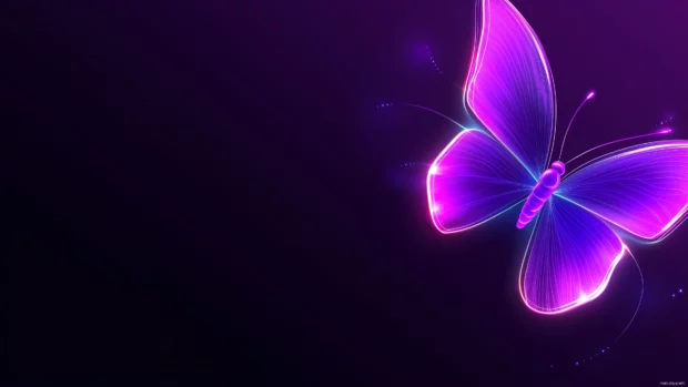 Dark minimalist background, vibrant purple neon butterfly, glowing wings, soft striking contrast.