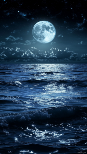 Dark silk waves rippling under moonlight reflections.