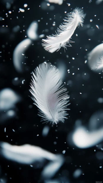 Delicate feathers drifting through the air.
