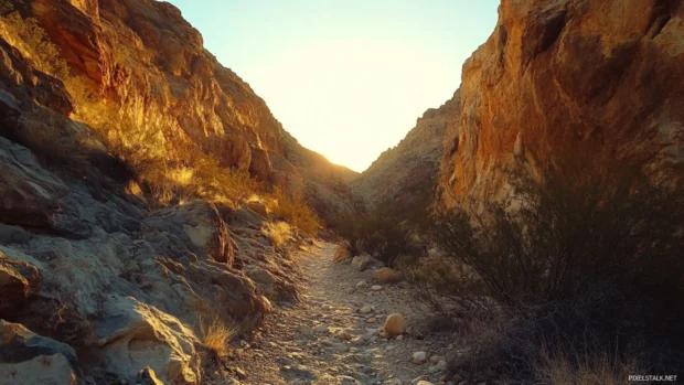 Desert canyon glowing with pretty sunset hues.