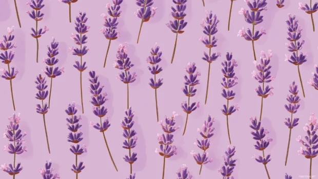 Digital tile pattern made of tiny lavender icons.
