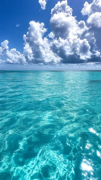 Dramatic clouds above sparkling Pretty Ocean surface.