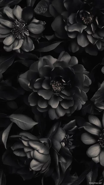 Elegant Black Lock screen Wallpapers featuring dark floral patterns with subtle highlights.