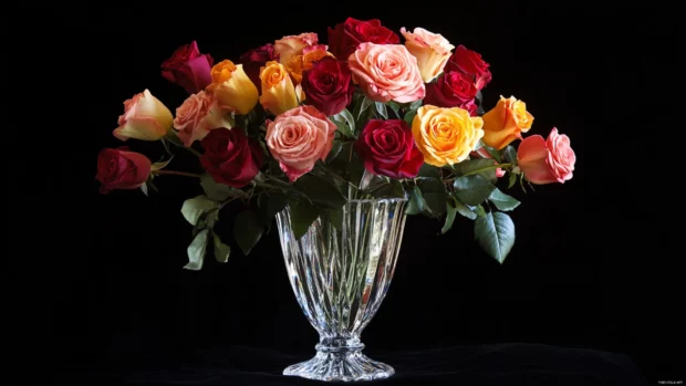 Elegant arrangement of Pretty Roses in crystal vase, Elegant rose wallpaper for desktop.