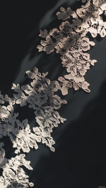 Elegant lace shadows stretch delicately over a black lock screen backdrop.