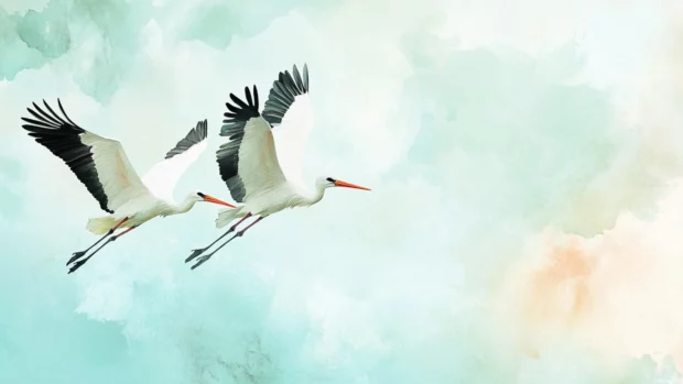 Elegant storks glide across a serene sky, an aesthetic watercolor bird wallpaper for peaceful desktops.