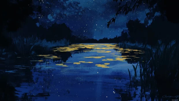 Empty lakes reflecting a silent starry flood.