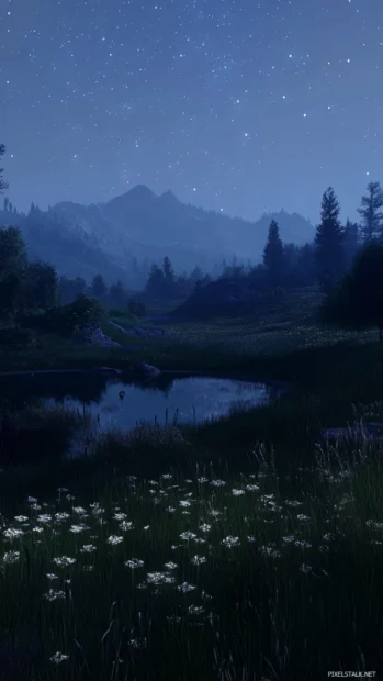 Endless meadows lost in the starry haze.