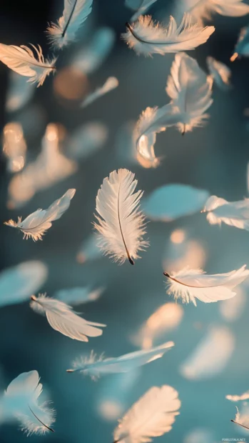 Feathers floating softly through a breeze under soft light.