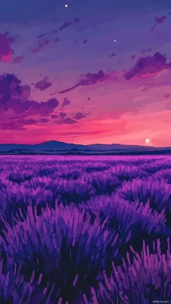 Field of lavender stretching into the horizon at sunset.