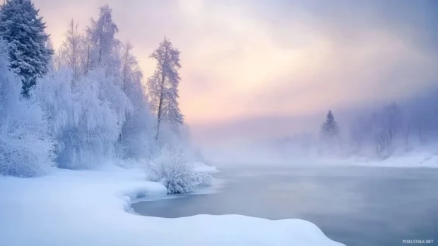 Foggy snow morning in the woods, trending on snow desktop wallpapers collection.