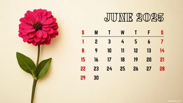 Free Download June 2025 Calendar Backgrounds  1080p.