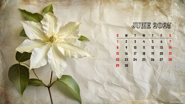 Free Download June 2025 Calendar Backgrounds Computer.