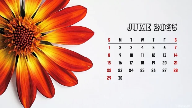 Free Download June 2025 Calendar Backgrounds HD for Windows.