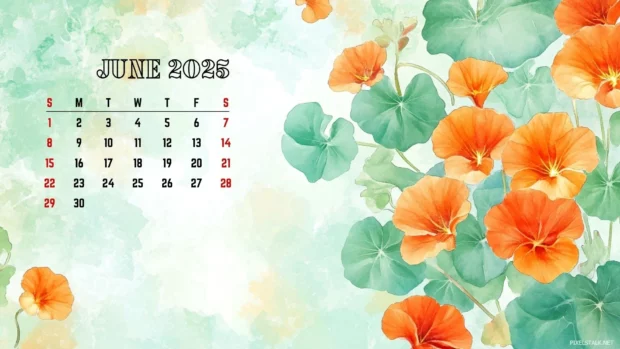 Free Download June 2025 Calendar Backgrounds for Desktop.